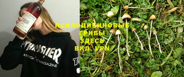 шишки Алапаевск