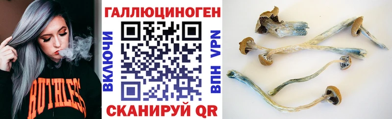 где найти наркотики  Югорск  mega рабочий сайт  Псилоцибиновые грибы мухоморы 