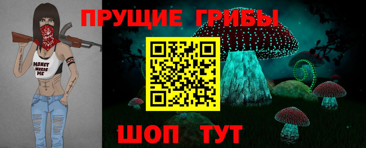 Псилоцибиновые грибы Psilocybe Югорск